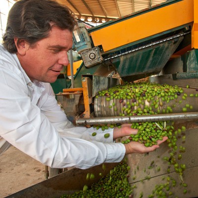 Quai des Oliviers - Luis Montabes producteur d'huiles d'olive espagnoles de qualité