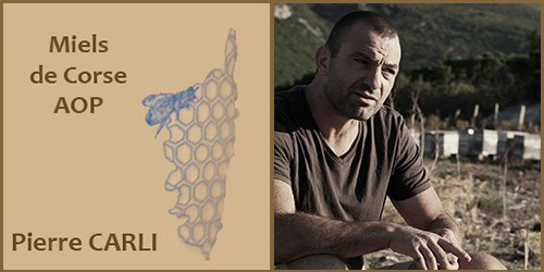 Pierre Carli producteur de miels de Corse AOP