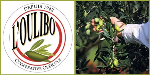 L’Oulibo producteur-confiseur d’olives Lucques dans l’Aude