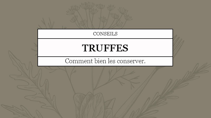 Bien conserver la truffe !