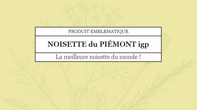 Quai des Oliviers - Noisettes du Piémont : les meilleures noisettes du monde sont italiennes !
