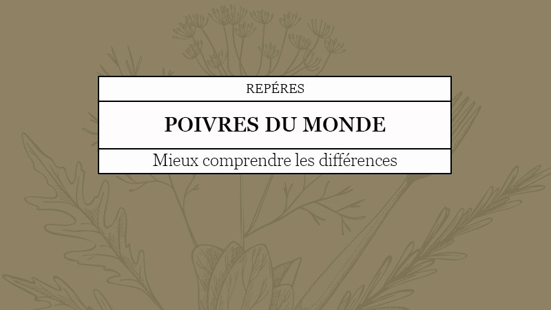 Tout savoir sur le poivre !