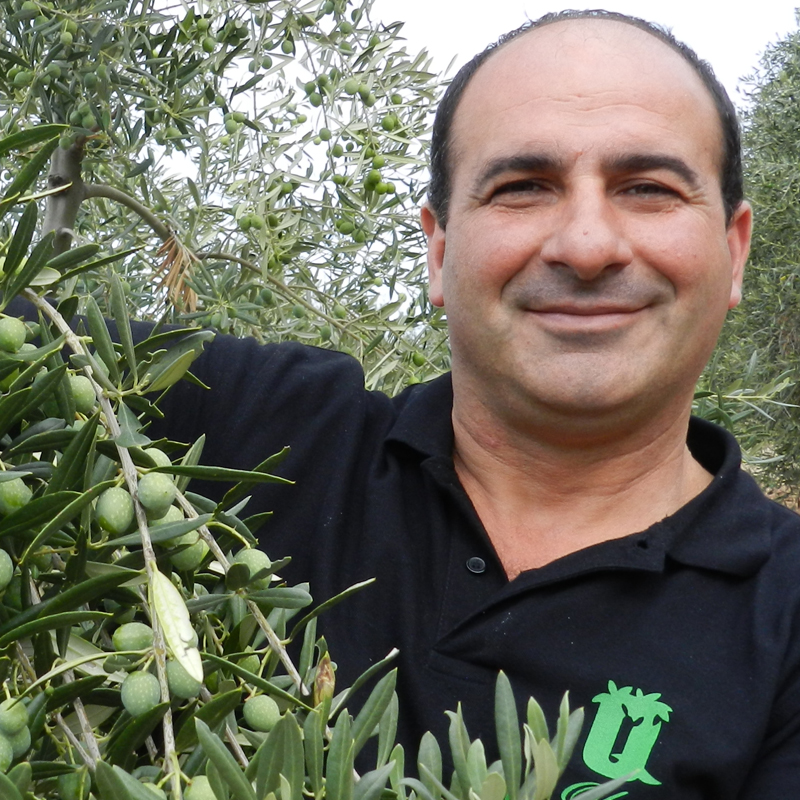 Quattrociocchi c'est l'un des meilleur producteur d'huile d'olive italien de Lazio, des huiles d'olive puissantes aux notes fraiches et très herbacées.